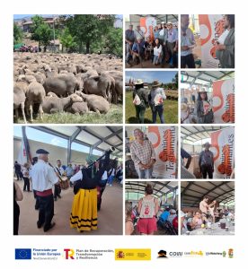 Presentación de Caminos Trashumantes en la Fiesta de la Trashumancia de Prioro