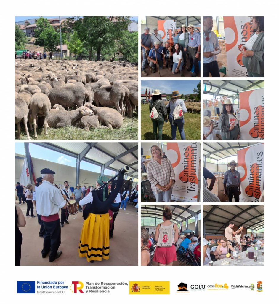 Presentación de Caminos Trashumantes en la Fiesta de la Trashumancia de Prioro