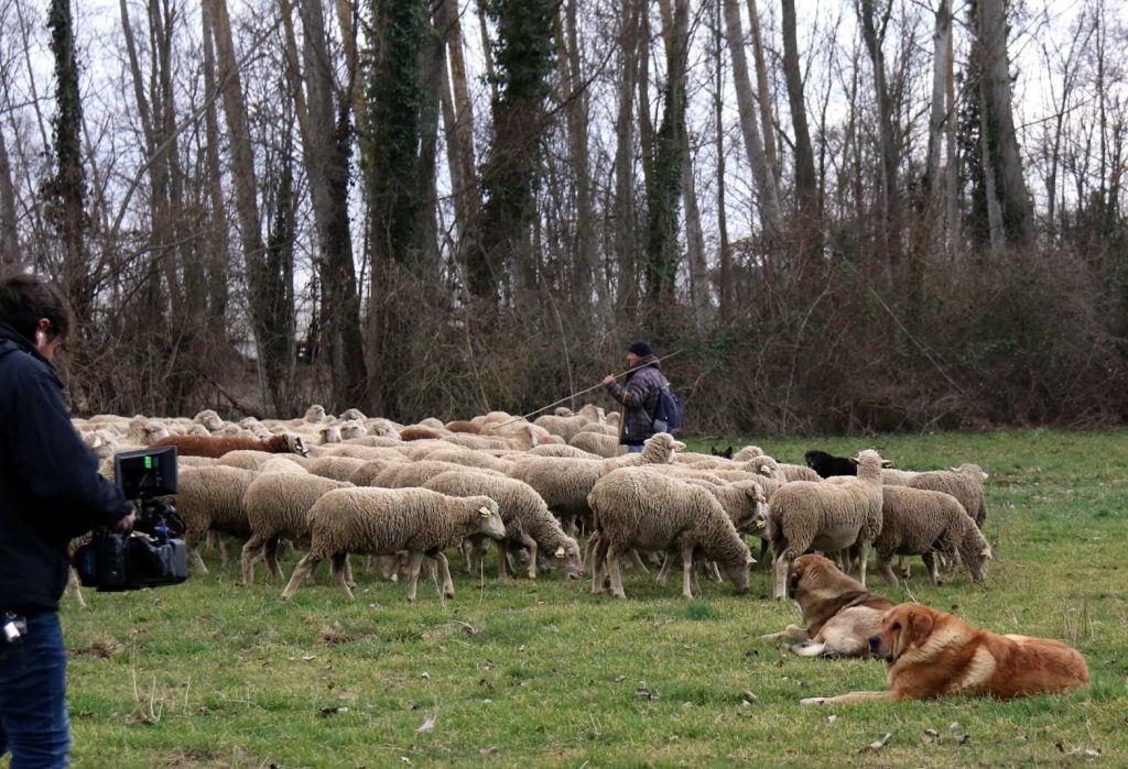 Visita a explotaciones ganaderas trashumantes: Caminos Trashumantes, Experiencias de Turismo Rural