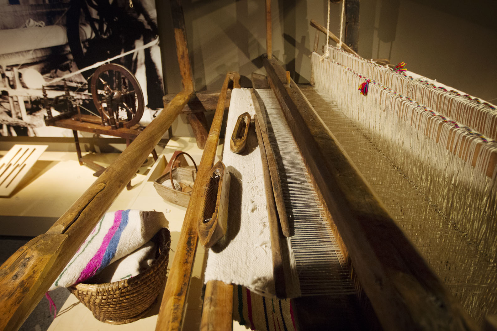 Museos trashumantes: Caminos Trashumantes, Actividades Turismo Cultural