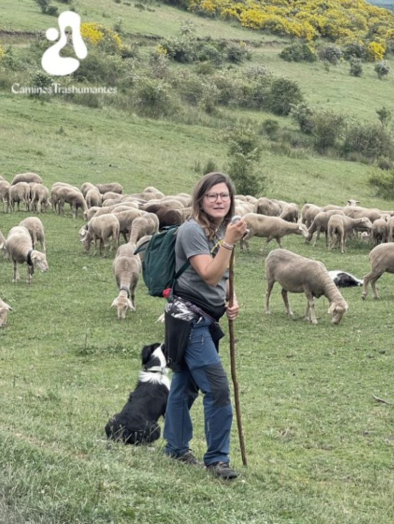 Retratos trashumantes: historias de pastores del siglo XXI