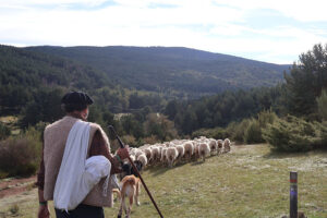 Caminos Trashumantes: Rutas de Turismo Rural