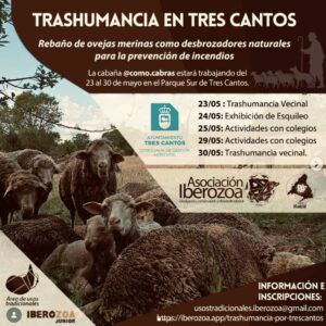 Trashumancia en Tres Cantos para prevenir incendios